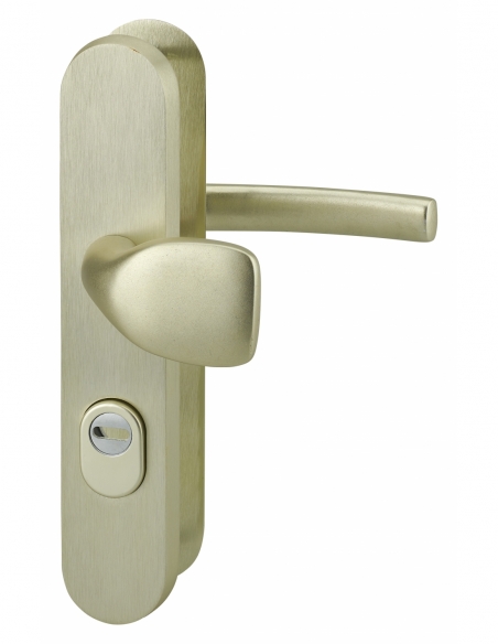 Set maniglie di sicurezza per porta d’ingresso, leva e placca esterna, interasse 216 mm, finitura F2 – THIRARD