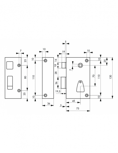 Serratura verticale da applicare con chiave e quadro per cancello, sinistra, asse 45 mm, 75x130 mm, nero, 2 chiavi – THIRARD