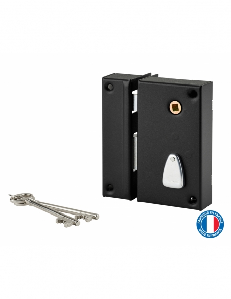 Serratura verticale da applicare con chiave e quadro per cancello, sinistra, asse 45 mm, 75x130 mm, nero, 2 chiavi – THIRARD