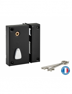 Serratura da applicare verticale a chiave con quadro per cancello, destra, entrata 45 mm, 75x130 mm, nera, 2 chiavi – THIRARD