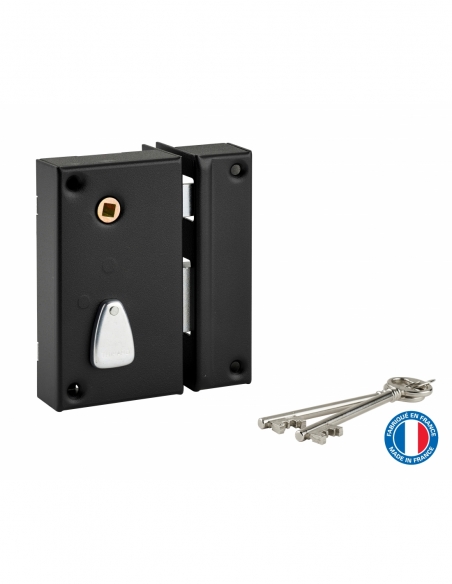 Serratura da applicare verticale a chiave con quadro per cancello, destra, entrata 45 mm, 75x130 mm, nera, 2 chiavi – THIRARD