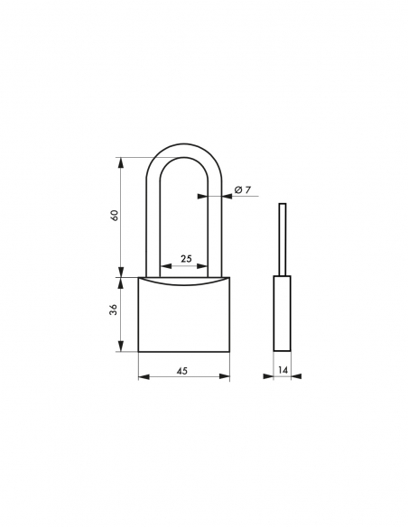 Lucchetto MACH 2 45 mm, corpo in acciaio, arco semialto in acciaio inox, 2 chiavi – THIRARD