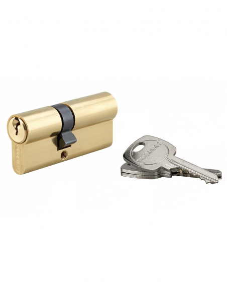 Cilindro europeo STD UNIKEY a doppia entrata 30 x 40 mm in ottone, chiave uguale, 3 chiavi – THIRARD