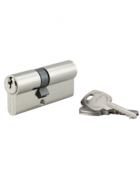 Cilindro europeo STD UNIKEY a doppia entrata 30 x 40 mm nichelato, chiave uguale, 3 chiavi – THIRARD