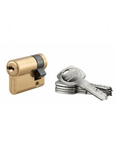 Semicilindro europeo Trafic 6 30x10 mm in ottone anti-strappo anti-perforazione 5 chiavi THIRARD