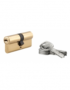 Cilindro europeo doppia entrata Trafic 6 35x35 mm in ottone anti-strappo anti-perforazione 5 chiavi THIRARD