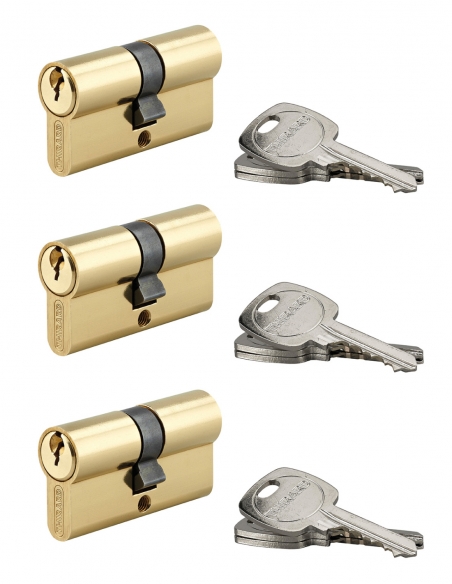 Set da 3 cilindri europei doppia entrata STD, 30x30 mm, a chiave uguale, ottone, 3 chiavi per cilindro - THIRARD