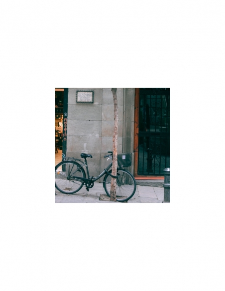 Catena THIRARD Loops in acciaio rivestita in nylon, per bici, moto e barriere, 1,2 m, nera.