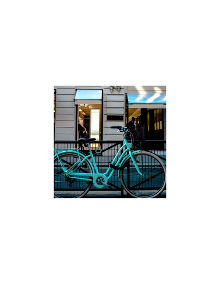 Catena THIRARD Loops in acciaio rivestita in nylon, per bici, moto e barriere, 1,2 m, nera.