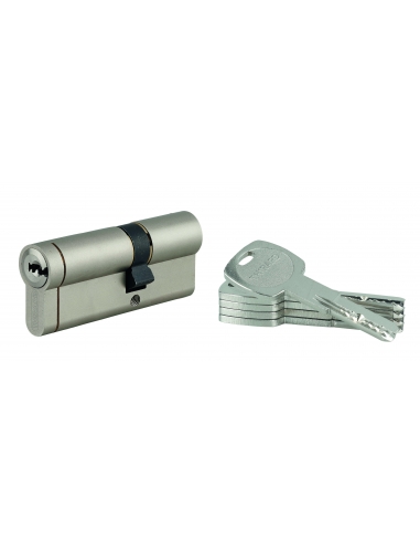Cilindro europeo Transit 1, 30 x 50 mm, nichelato, 5 chiavi lunghe – THIRARD