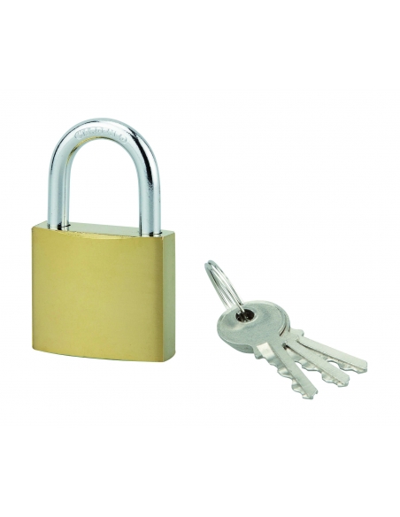 Lucchetto ACERA 50 mm arco in acciaio con 3 chiavi UNIKEY a chiave uguale versione VSP THIRARD