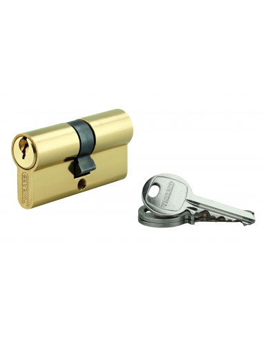 Cilindro europeo SA UNIKEY 30 x 30 mm in ottone, chiave uguale, 3 chiavi, vite 50 mm - THIRARD