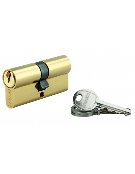 Cilindro europeo SA UNIKEY 35 x 35 mm in ottone, chiave uguale, 3 chiavi - THIRARD