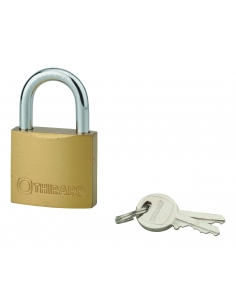Lucchetto TYPE 1 arco in acciaio con 2 chiavi UNIKEY a chiave uguale THIRARD