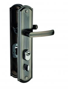 Set chiusura WC 00092553 sinistro con placca BR – THIRARD