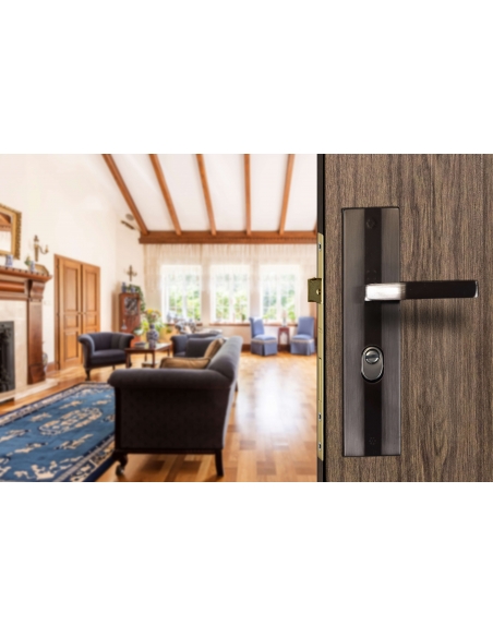 Set chiusura WC 00092554 destro con placca BC – THIRARD