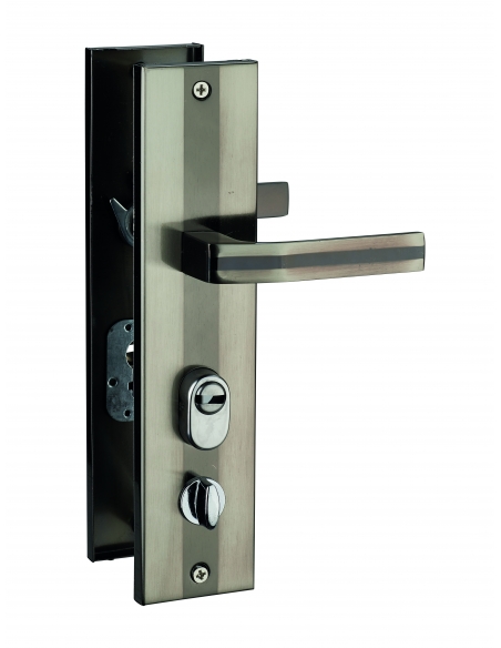 Set chiusura WC 00092555 sinistro con placca BC – THIRARD