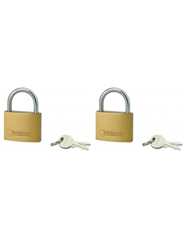 Set di 2 lucchetti TYPE 1 45 mm a chiave uguale, 4 chiavi – THIRARD
