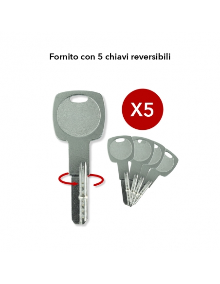 Cilindro Tiger 6 con pomolo 40 x 30 mm, nichelato, anti-estrazione, anti-perforazione, 5 chiavi – THIRARD