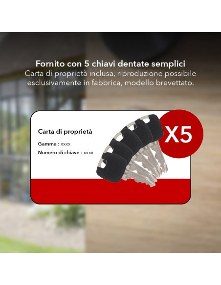 Cilindro europeo HG5+ 30×50 mm nichelato, 5 chiavi – THIRARD