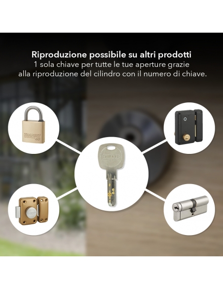 Semicilindro europeo 30 x 10 mm, nichelato, camma orientabile, 5 chiavi – THIRARD