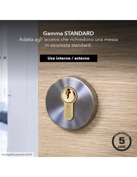 Cilindro STD con pomolo 30 x 50 mm, ottone, 3 chiavi – THIRARD