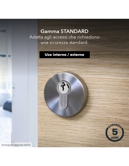 Semicilindro STD 40 x 10 mm nichelato 3 chiavi – THIRARD